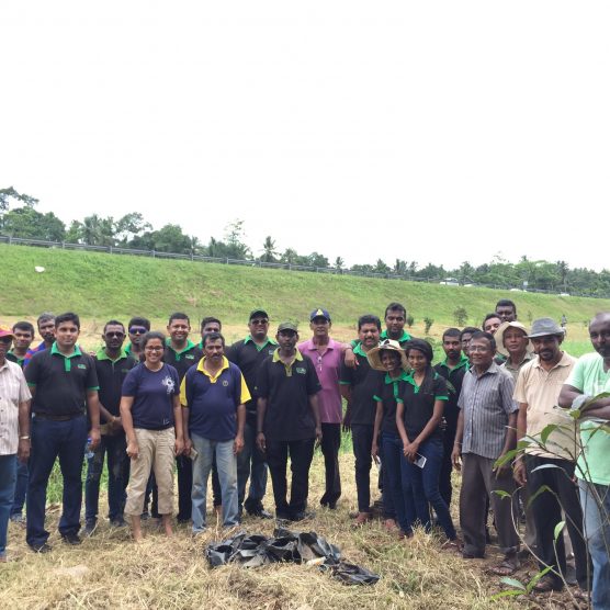 Joined hands to plant 200+ trees