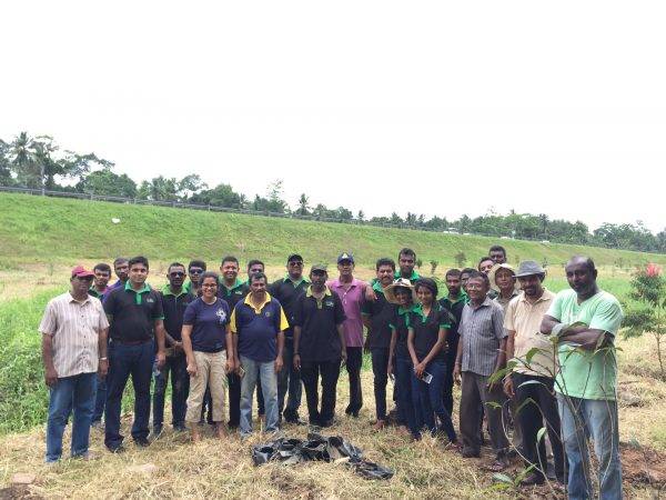 Joined hands to plant 200+ trees