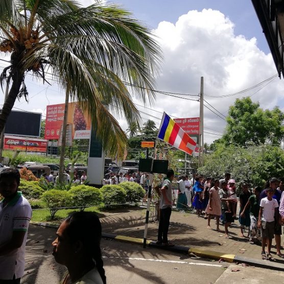 Poson Dansal From Drivegreen Team