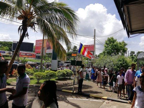 Poson Dansal From Drivegreen Team