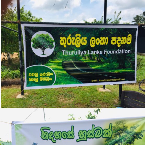 150 Kubuk trees planted at Diyasaru Uyana in Battaramulla