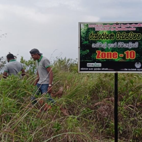 CSR project - Tree Planting Program