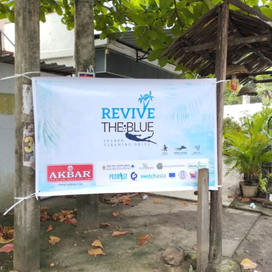 Participated in the seabed and beach cleaning CSR program at Jungle Beach, organized by Akbar Brothers