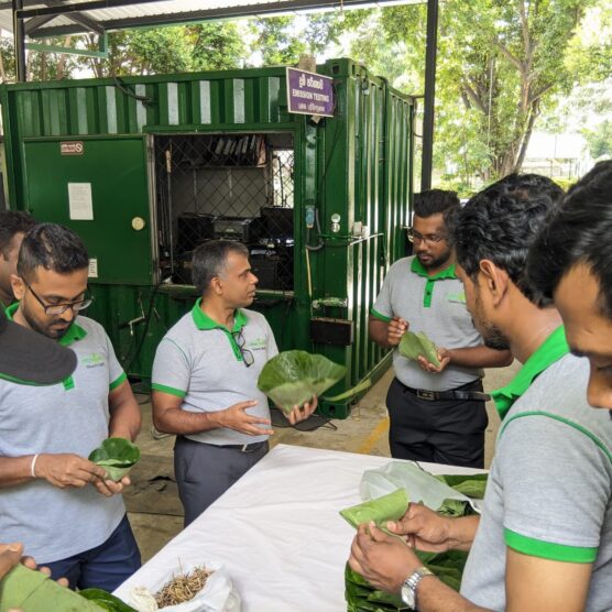 Kadala Dansala CSR Activity at Dalada Dekma, Kandy