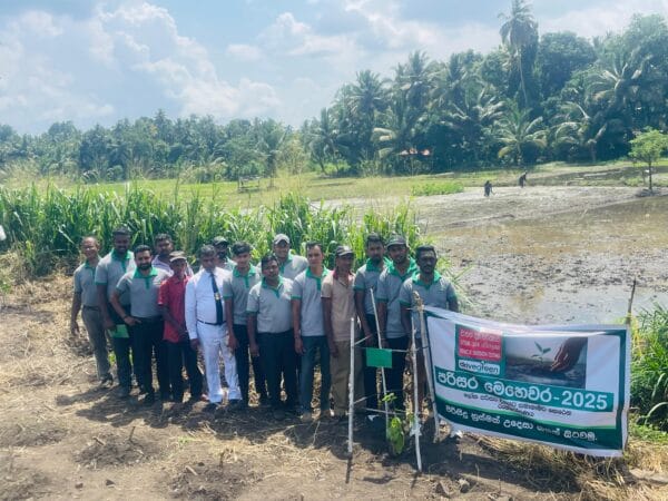 Tree Planting CSR Program at Rambukkana for World Environment Day